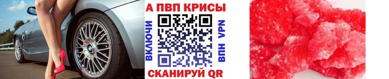 закладка  Карпинск  Alfa_PVP СК 