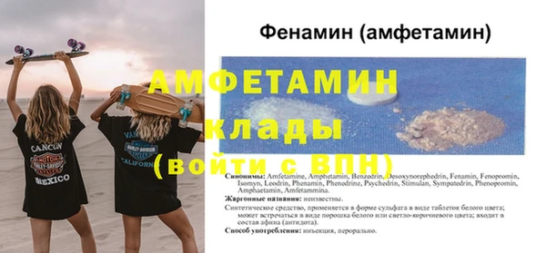 прущие грибы Новодвинск
