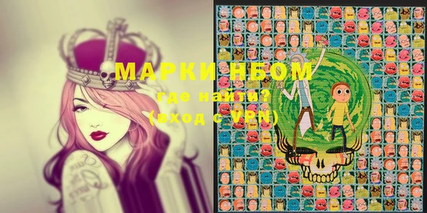 молекула духа Новозыбков