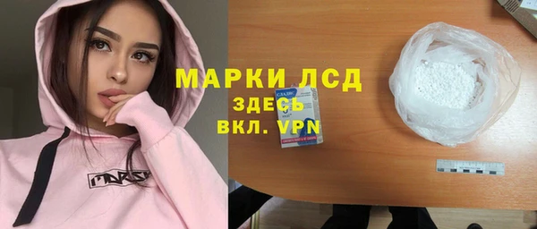молекула духа Новозыбков