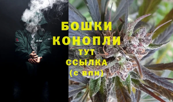 прущие грибы Новодвинск