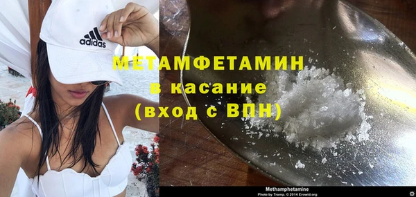 прущие грибы Новодвинск