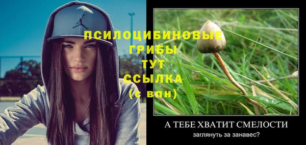прущие грибы Новодвинск