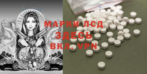 прущие грибы Новодвинск