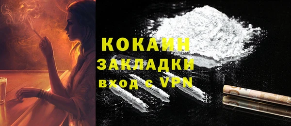молекула духа Новозыбков