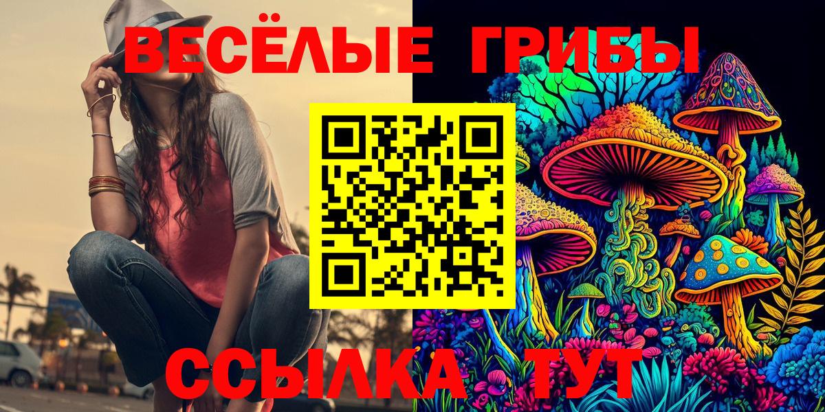Псилоцибиновые грибы Psilocybe  Вход с VPN  Карпинск 