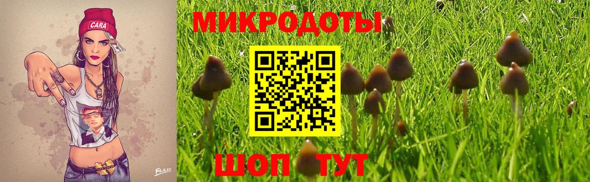 Галлюциногенные грибы Magic Shrooms Карпинск