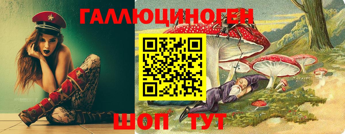 Псилоцибиновые грибы Psilocybine cubensis Карпинск