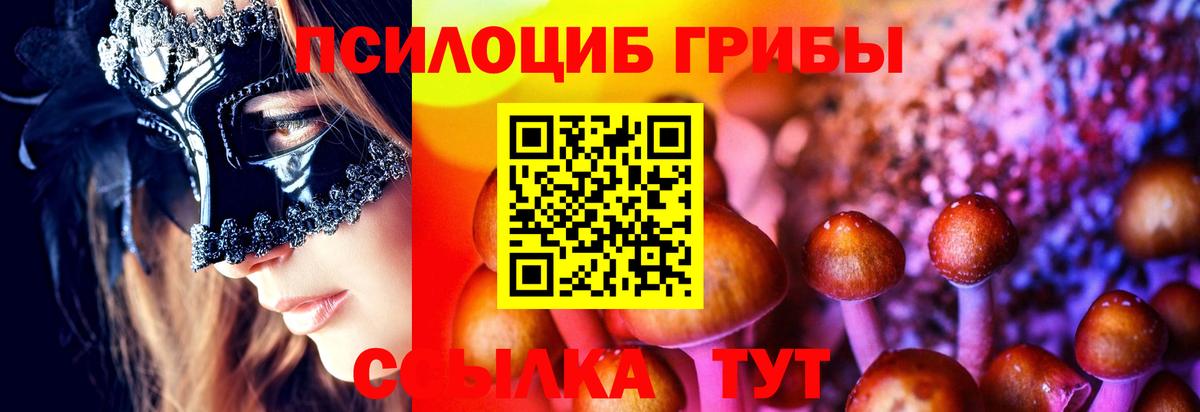 Галлюциногенные грибы мицелий  Галлюциногенные грибы Cubensis  где купить   Карпинск 